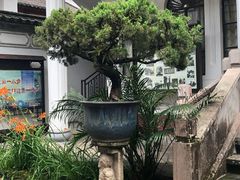 -和顺古镇