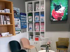 -关爱宠物医院·猫科中心·消化科(滨湖万达分院)