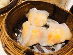 -食为先(Shark Fin)
