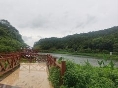 -广州市石门国家森林公园