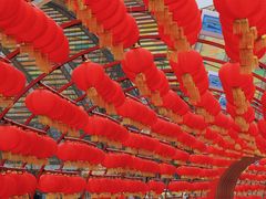 -中国天府农业博览园