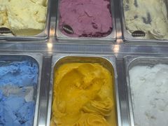 -iceason爱茜茜里·意大利健康冰淇淋(骑龙巷店)