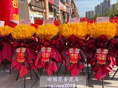-田园花舍花店(北城未来实体店)
