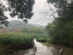 -西湖风景区十里琅珰-五云山