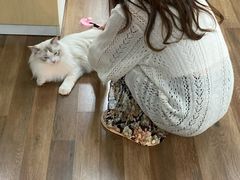 -猫音日语留学培训