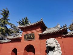 -洛阳白马寺
