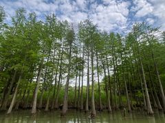 -苏州太湖国家湿地公园