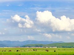 -坝上草原大汗行宫旅游景区