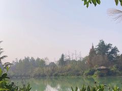 -桤木河湿地公园