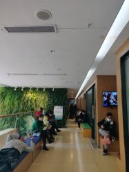 -杭州复旦儿童医院·语言发育迟缓·自闭症干预·注意力训练