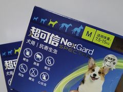 -瑞鹏宠物医院·宠保定点·心脏科·内科(御桥分院)