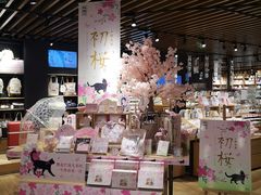 -九木杂物社(恒隆广场店)