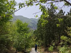 -香山公园