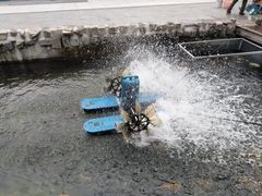 -京北渔家傲