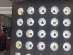 -马白开来特色羊排揪片子  (总店)