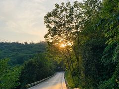 -铁山坪森林公园