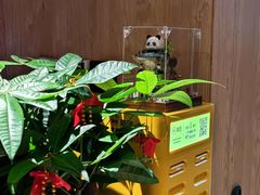 -聆耳·采耳·按摩·SPA(会展中心店)