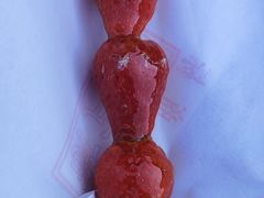 -糖葫芦王保定名吃(古莲花池店)