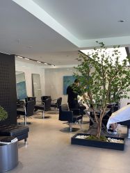 -付军剪艺JF ProSalon