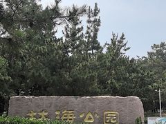-林海公园