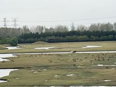 -溱湖国家湿地公园