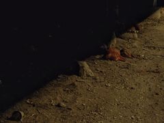 -海堤纪念公园