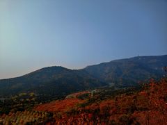 -北京十三陵国家森林公园蟒山景区