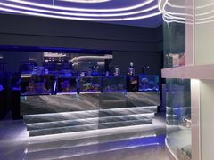 -1013 PET SHOP精品宠物商店(丁香店)