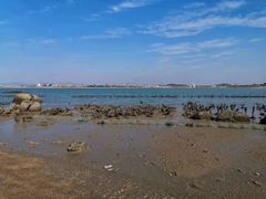 -黄金海岸环岛路