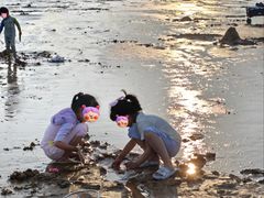 -日照海滨国家森林公园