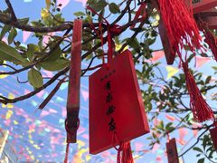 -江门古兜温泉小镇