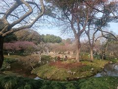 -杭州植物园