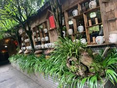 -青城甲(青城山店)