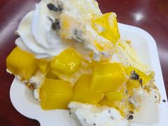 -维尔纳斯·生日蛋糕动物奶油冰淇淋蛋糕(人大店)