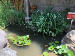 -星巴克(成都锦里店)
