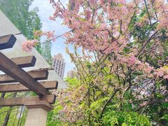 -成都南湖公园
