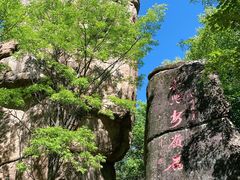 -汤旺河林海奇石景区