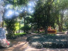 -瑞丽独树成林风景区