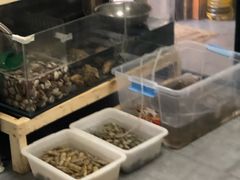 -阿杰臻选海鲜饭店(普陀山店)