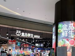 门面-盒马鲜生(岭南新世界店)