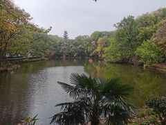 -灵谷景区
