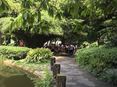 -成都市活水公园