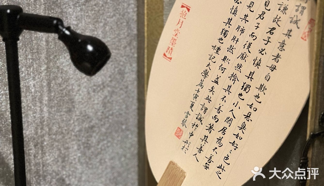 今晚的是“绿野仙踪”&“禁止焦虑”🧚‍♀️