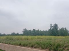 -汉长安城未央宫国家考古遗址公园