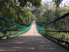 -南宁良凤江国家森林公园