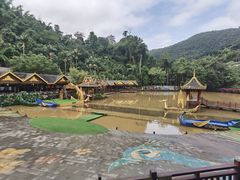-西双版纳原始森林公园