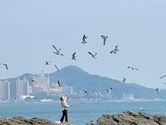 -黑石礁公园