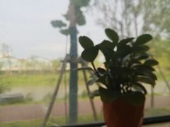 -丽华园(青少年宫店)