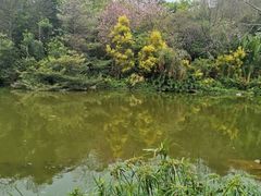 -云溪植物园