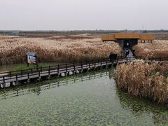 -宁波杭州湾国家湿地公园